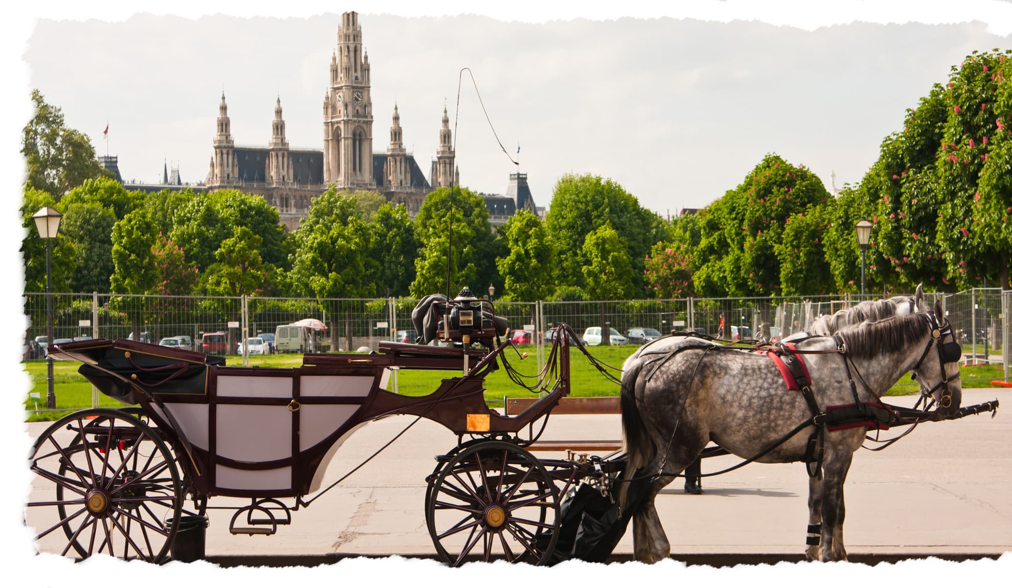 Viena